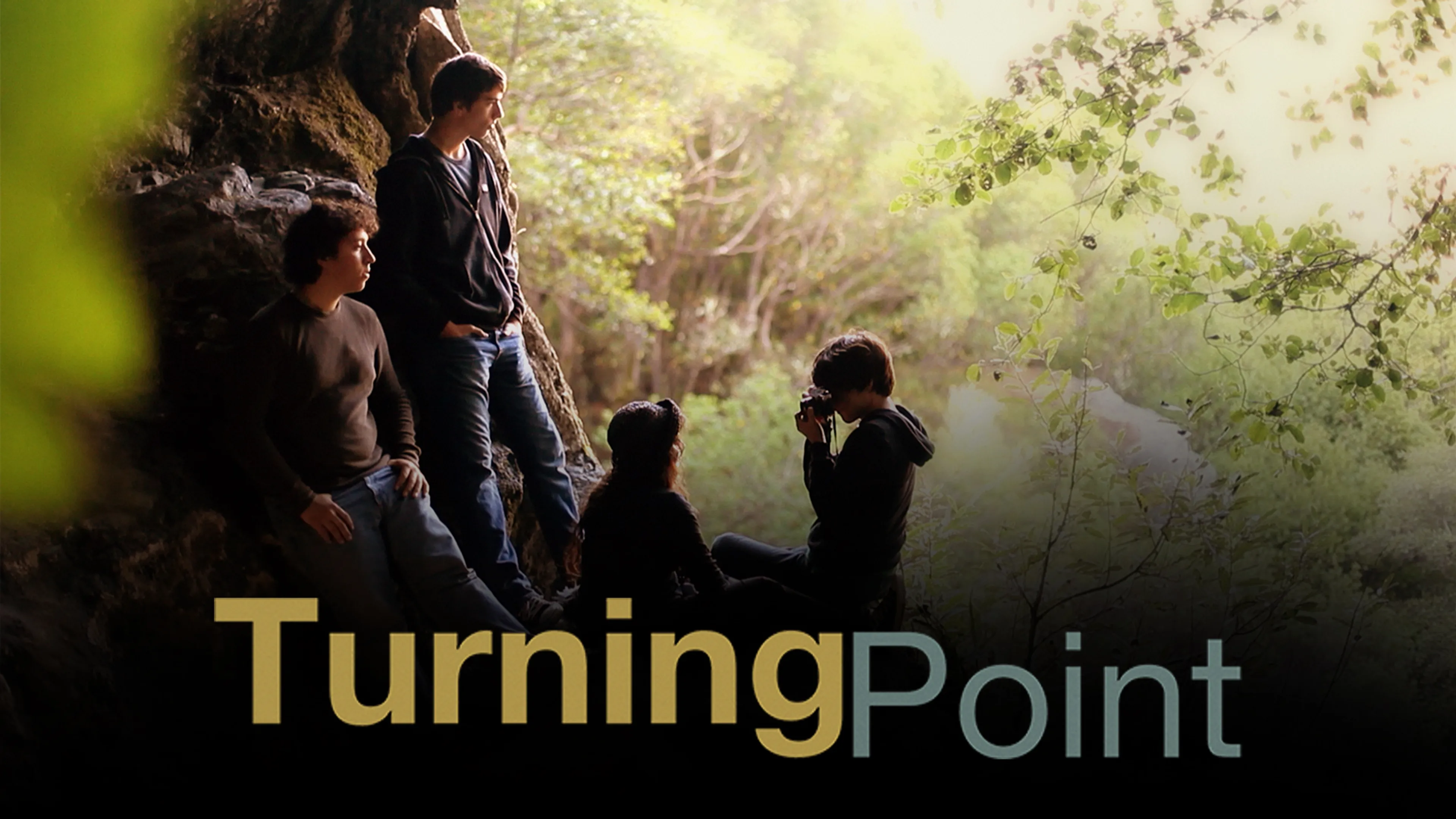 Turning Point poster